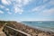 Elephant Seal Colony at viewing point at Point Piedras Blancas north of San Simeon on the Central Coast of California