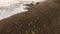 Elephant seals rest beach sunrise Pacific Coast California USA