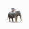 elephant with seat on back ,taxe