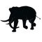 elephant shadow animal icon silhouettes isolated on dark black graphical in white