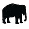 elephant shadow animal icon silhouettes isolated on dark black graphical in white