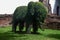 Elephant shaped bush