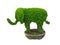 The Elephant shaped design hedges cut green tree in a round tree pot isolated on white background.