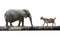 Elephant and sheep walking over the single wooden bridge