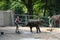 Elephant shower in Zoo Wuppertal, Germany