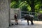 Elephant shower in Zoo Wuppertal, Germany