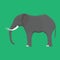 Elephant side view vector icon gray animal illustration. Isolated mammal africa zoo. Safari wildlife drawing nature