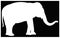 Elephant silhouette - large wildlife mammal in Africa and Asia