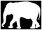 Elephant silhouette - large wildlife mammal in Africa and Asia