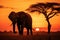 Elephant silhouette nearly tree on sunset in savannah. Generative AI