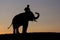 Elephant silhouette sunset