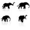 Elephant silhouette vector set