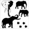 Elephant silhouetted vector