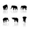 Elephant silhouettes