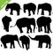 Elephant silhouettes vector