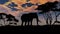 Elephant sillouette on sunset background