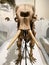 Elephant Skeleton @ Australian Museum
