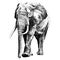 Elephant sketch graphics vector