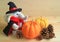 Elephant soft toy in wizard costume with a pair of ripe mini pumpkins and many dry pine cones