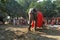 Elephant at sonpur fair