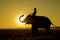 Elephant standing in a rice field with the mahout