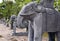 Elephant Statues at Minh Mang Tombs