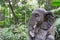 Elephant stone statue in Ubud,Bali,Indonesia