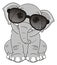 Elephant in sunglasses