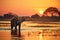 Elephant at sunset in Chobe National Park, Botswana, Africa, Africa Botswana Chobe National Park African Elephant, AI Generated