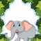 Elephant surrounded by vibrant green foliage