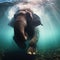 Elephant swims in the African river