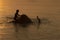 Elephant taking a shower with mahout during sunset