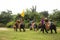 Elephant Theme Show at Samphran Elephant Ground and Crocodile Farm in Nakhon Phatom, Thailand