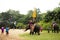 Elephant Theme Show at Samphran Elephant Ground and Crocodile Farm in Nakhon Phatom, Thailand