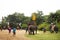 Elephant Theme Show at Samphran Elephant Ground and Crocodile Farm in Nakhon Phatom, Thailand