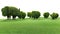 Elephant trees with green grass on white background
