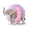Elephant in a tutu and a floral ornament on his head