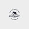 Elephant vintage logo design template. Design elements for logo, label, emblem, sign. Vector illustration - Vector