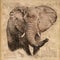 Elephant in Vintage Steampunk Da Vinci Drawing Style