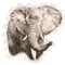 Elephant in Vintage Steampunk Da Vinci Drawing Style