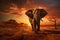 an elephant walking in the desert at sunset with sun breaking in the background