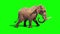 Elephant Walks Static Side Green Screen 3D Rendering Animation