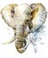 elephant watercolor pictures