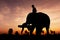 Elephant working on twilight time