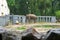 Elephant at the zoo on a summer day