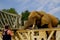 Elephant at the zoo waiting to get a treat from a lady visitor