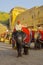 Elephants at Amber Fort