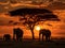 Elephants in amboseli kenya