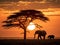 Elephants in amboseli kenya