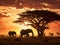 Elephants in amboseli kenya